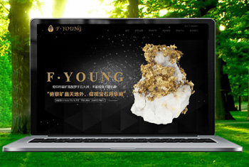 ���츩�����ﱦʯ